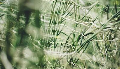 Cum să faci o amuletă norocoasă cu propriile mâini