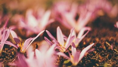 cum să faci o amuletă norocoasă cu propriile mâini